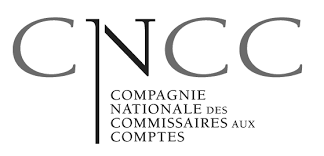 AKOLEO Commissaire aux comptes à Saint-Brieuc Paris, membre de la Compagnie nationale des commissaires aux comptes